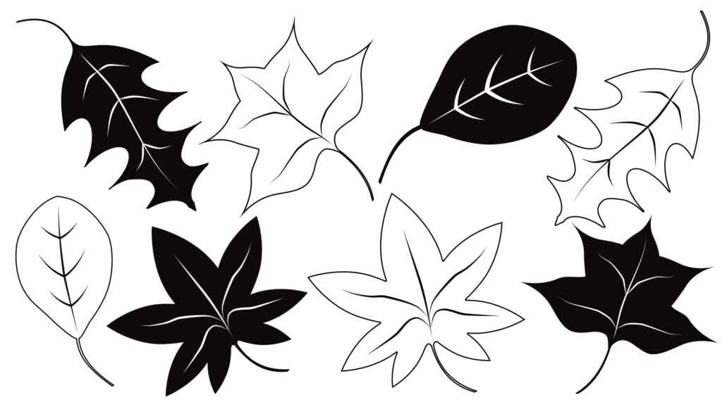 free fall leaves clip art black and white