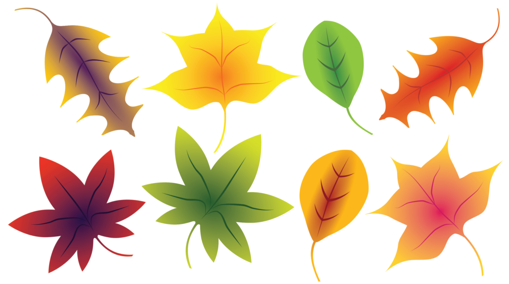 free fall leaves clip art in color