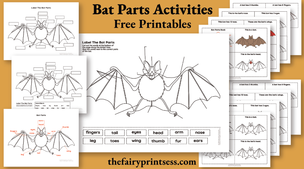 bat parts free printable activities to build kids science vocabulary, handwriting, and reading skills