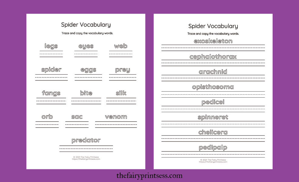free printable spider activities vocabulary beginner and advanced